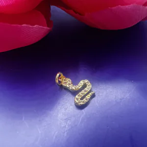 Slinky Snake Charm