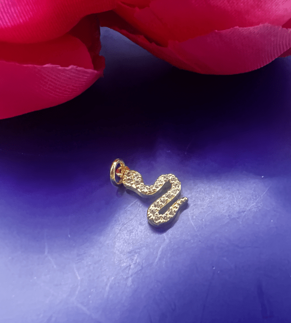 Slinky Snake Charm